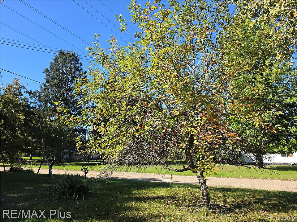 42 Opal Ln, photo 17