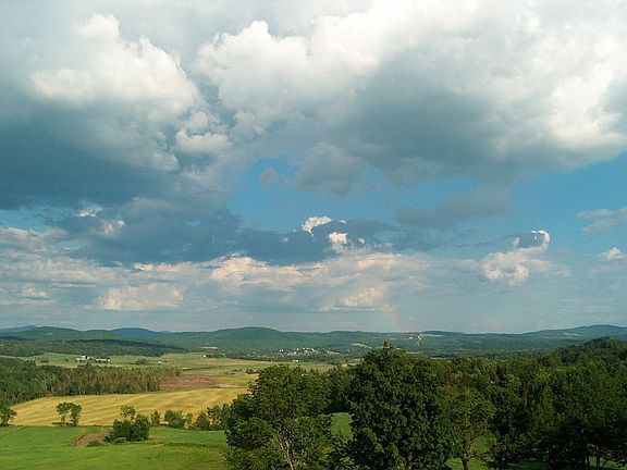 View from the yard