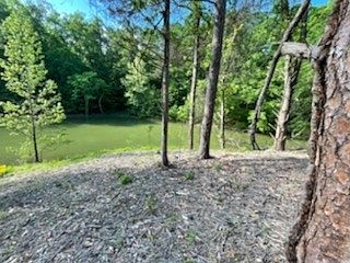 2nd image of 1230 Lords Way Lot 23