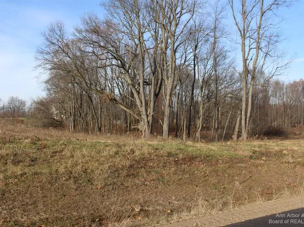 0 Lindsey Rd Unit 27, Jackson, MI 49201