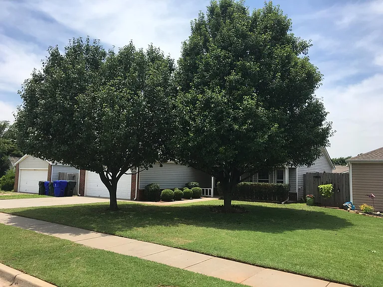 Front yard