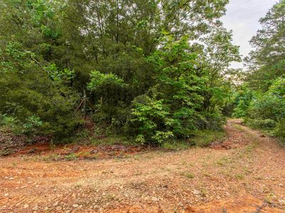 0 Fawn Ridge Ln, Williford, AR, 72482