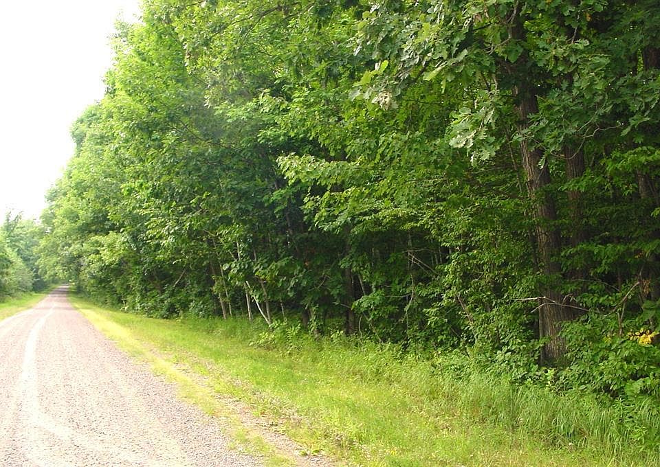 1st image of 80 Acres on Bailey Road