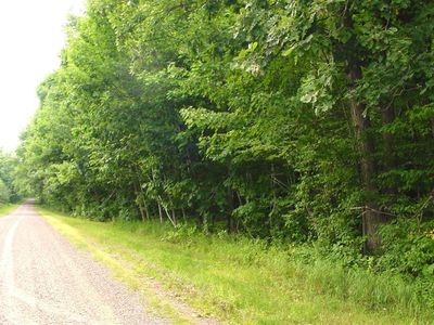80 Acres on Bailey Road, Bruce, WI, 54819