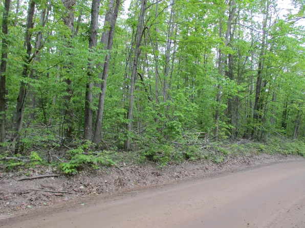 0 Lutz Rd, Atlanta, MI 49709