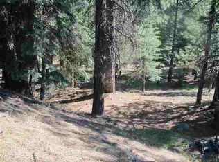 272 Osprey Loop #4, Chester, CA 96020