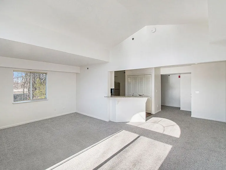 West Hampton Park Apartment Homes — Photo 62
