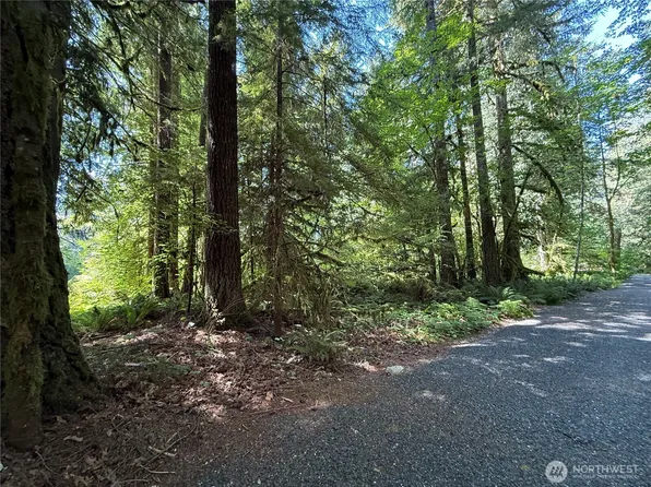 0 Silver Lake Road, Maple Falls, WA 98266
