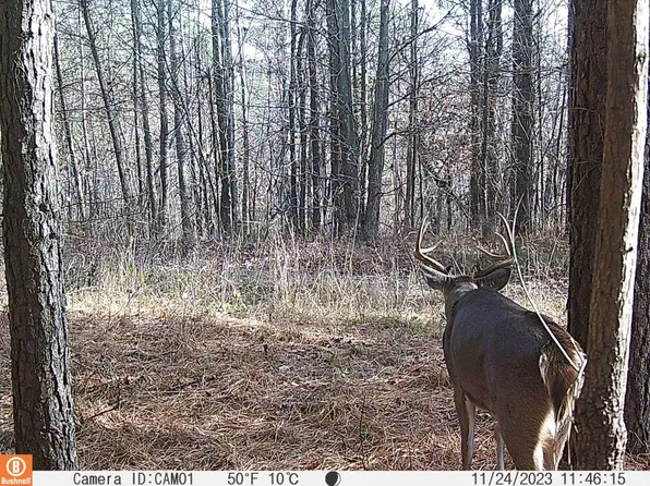 0 State Route 810 N Lot Wp001, Kuttawa, KY 42055