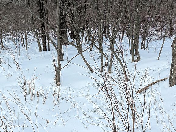 2nd image of 0 High Peak Road Lot 61 & 20