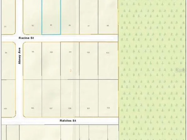 Racine St Lot 49, Orlando, FL 32833