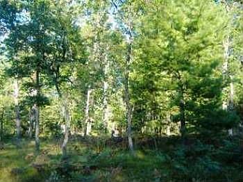 2nd image of 4165 W Haskell Lake Rd