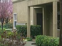 2nd image of 9444 Harbour Point Dr APT 273