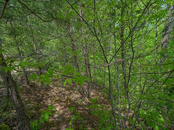 4th image of LOT 23 Mountain Ash Way
