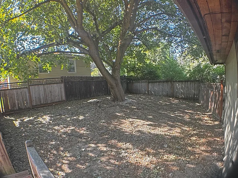 Large fenced backyard