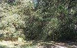 2nd image of Lofton Ct