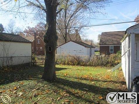 3-Backyard.JPG