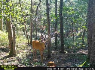 W14204 W McGower Rd, Fairchild, WI 54741