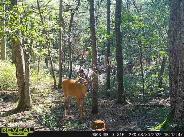 W14204 West McGower Road, Augusta, WI 54722