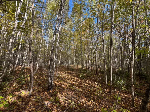 M4 Lot 1-4 Woodland Drive, Carmel, ME 04419