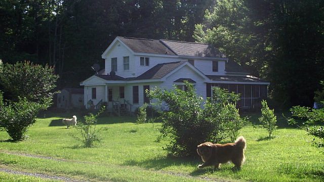 1st image of 599 Flag Pond Ln