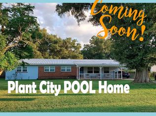 5313 Keene Dr, Plant City, FL 33566