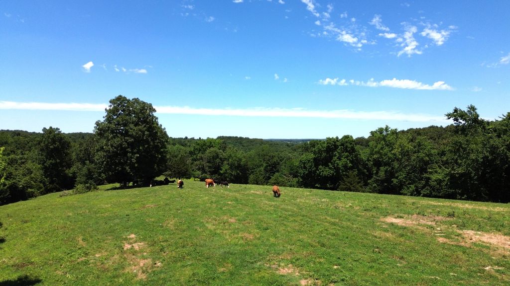 513 Stone Road, South West City, MO - More