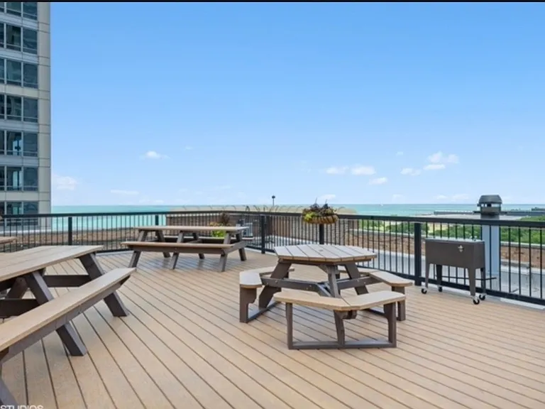 540 N Lake Shore Dr #321 — Photo 11
