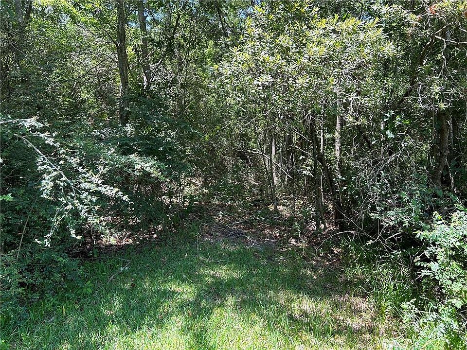2nd image of Bayou Pines Dr