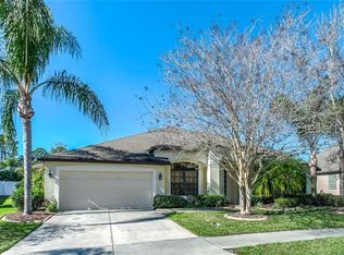 10905 Rain Lily Pass, Land O Lakes, FL 34638