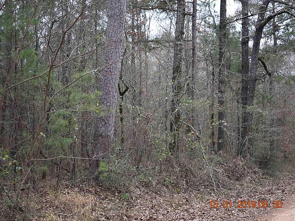 3rd image of 7546 Beekman Tower Road