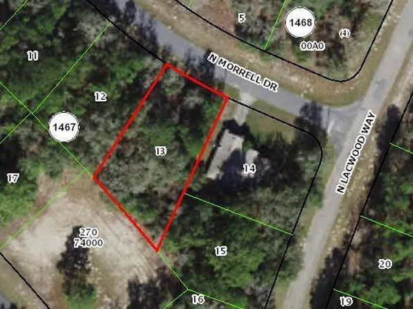 10886 N Morrell Drive, Citrus Springs, FL 34434