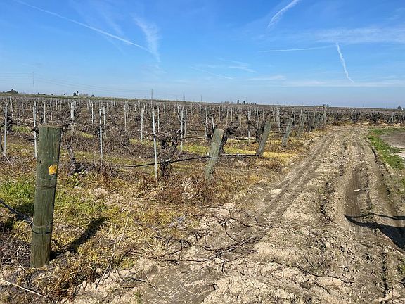 5th image of 9577 S Del Rey Ave