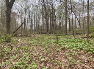 0 Wanda Faye Dr, Nesbit, MS 38651