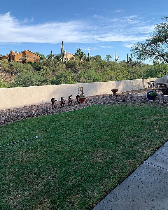 Backyard View of Wash