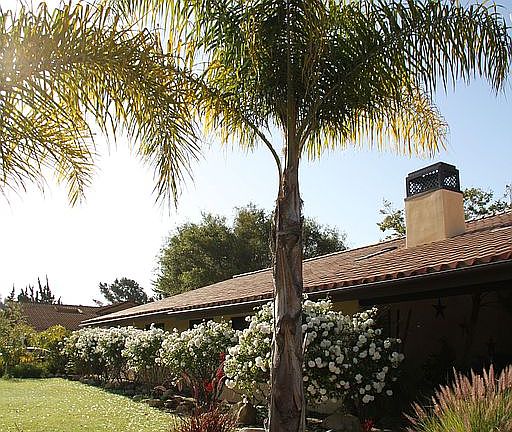 Front view with Palm trees