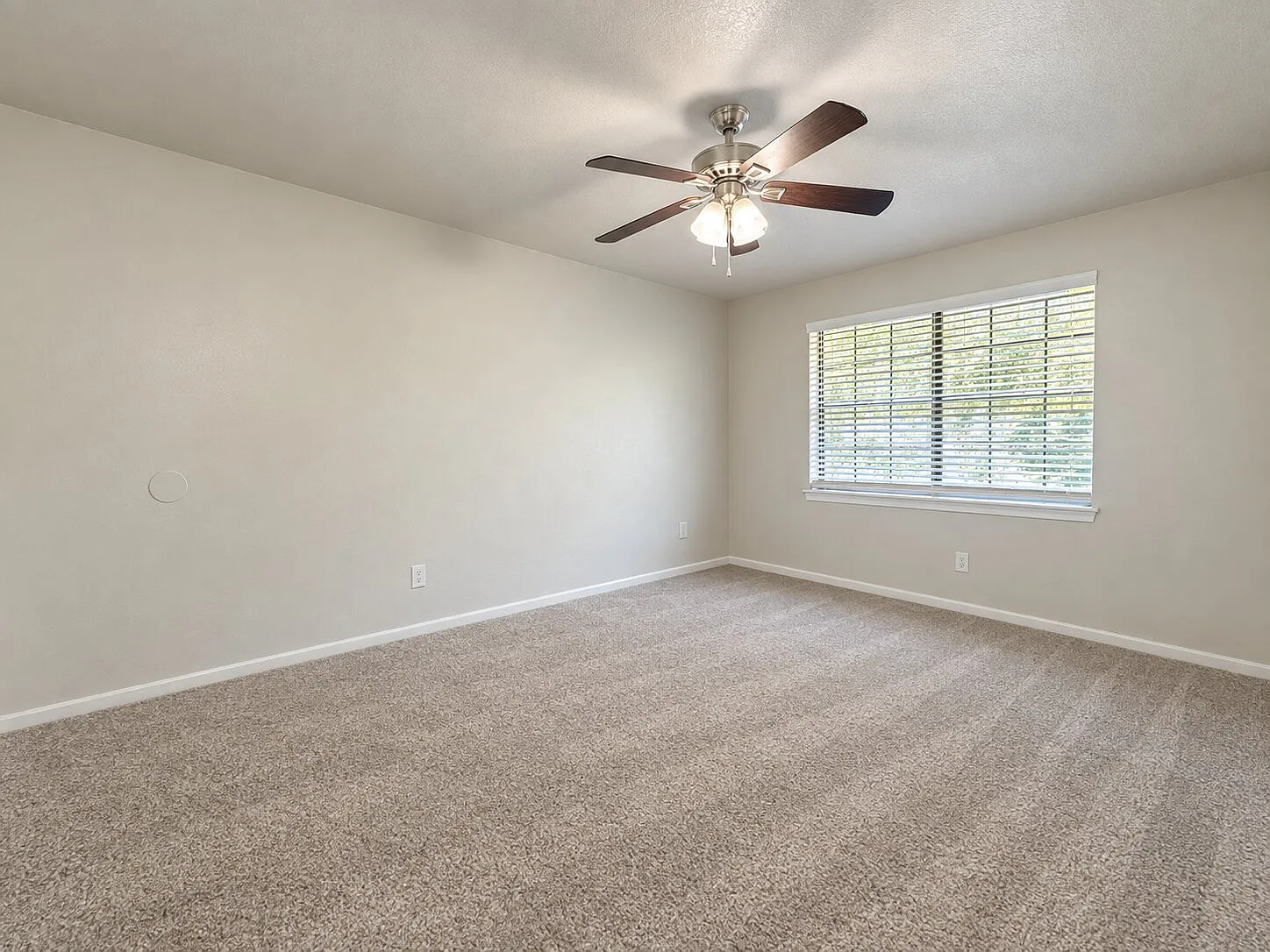 1 bed, 650 sqft, $1,195 — Photo 4