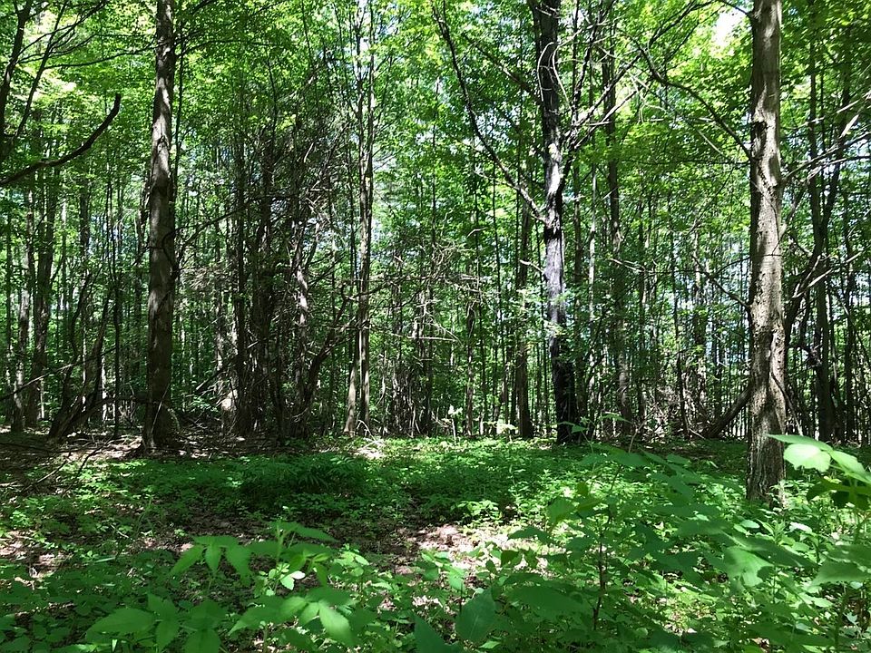 1st image of 490 Frank Briggs Rd