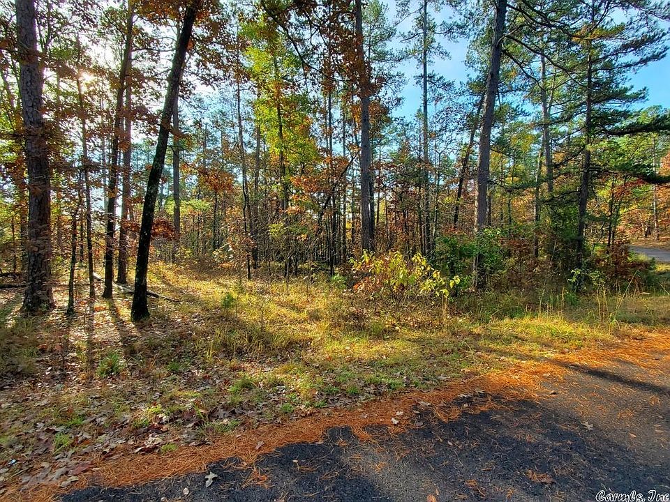 1st image of Jilguero Way