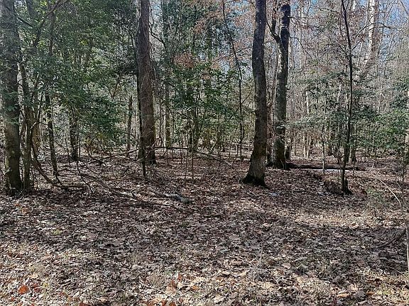 Compass South Land Sales Arkansas Fountain Creek 37