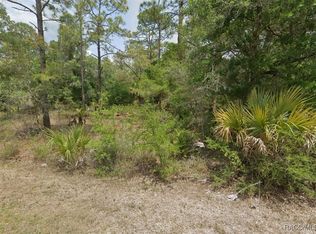 11787 W Flaxen Dr, Crystal River, FL 34428