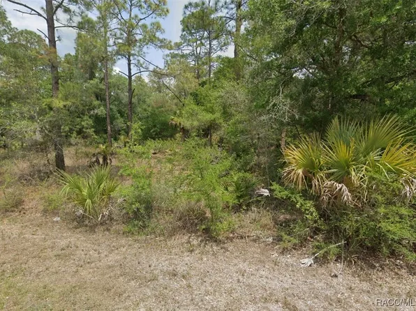 11787 W Flaxen Dr, Crystal River, FL 34428