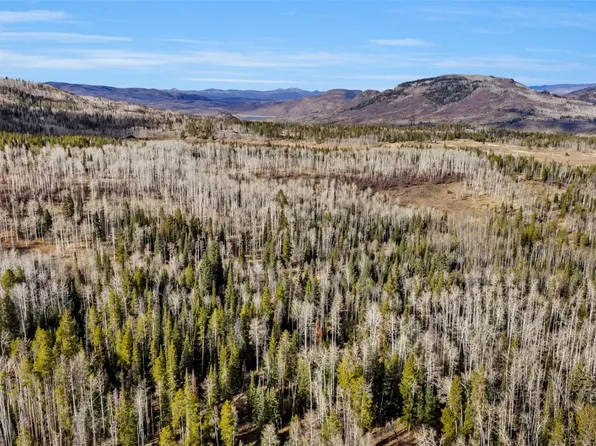 20331 King Bolt Way, Oak Creek, CO 80467