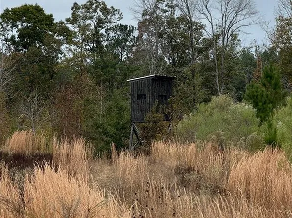 0 Dug Leckie Rd, Pollock, LA 71467