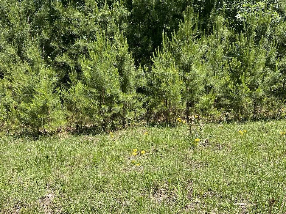 2nd image of Lots 2 And 3 Eagle Mountain Rd #2 & 3