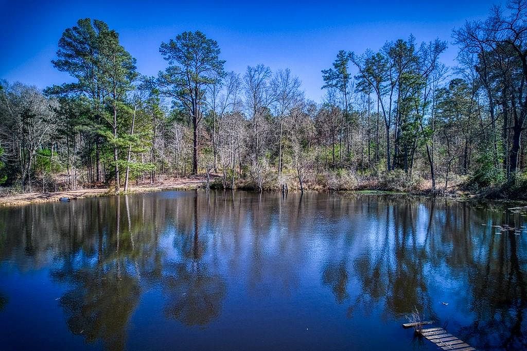 179, Elkhart, TX 75839 Zillow