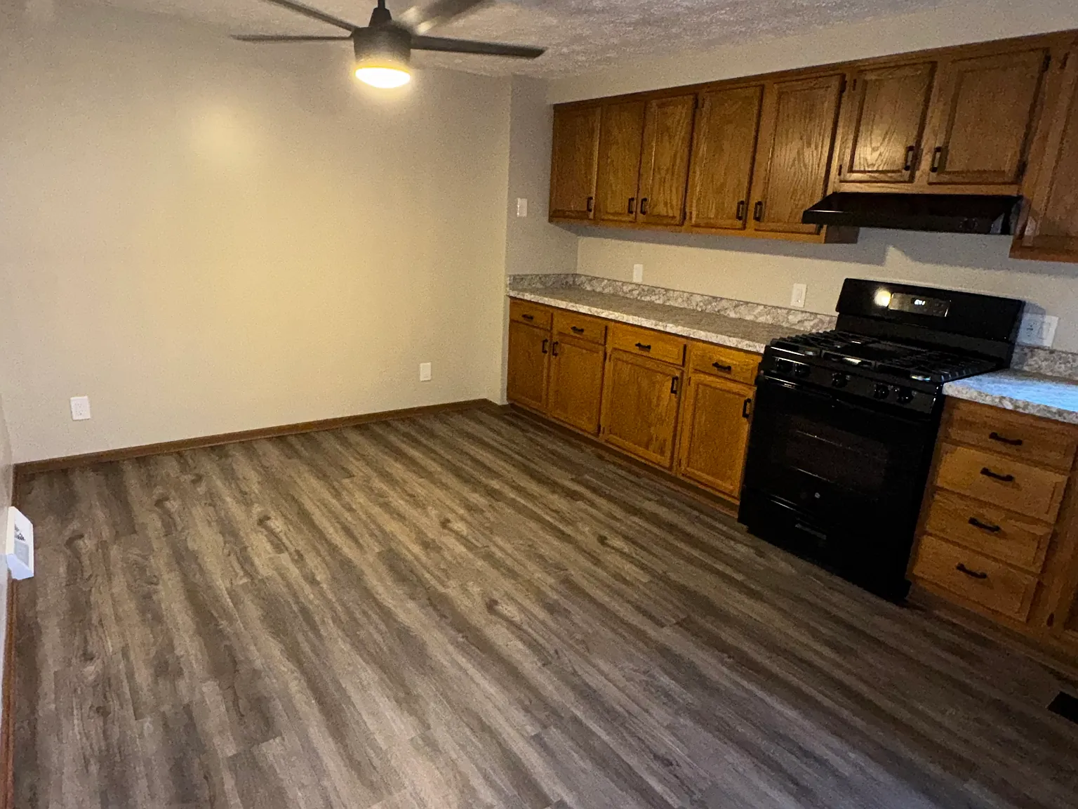 2 bed, 1100 sqft, $1,650 — Photo 4