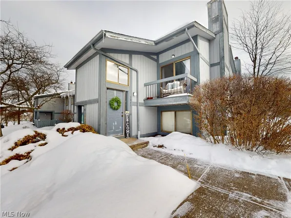 7047 Bristlewood Dr, Painesville, OH 44077