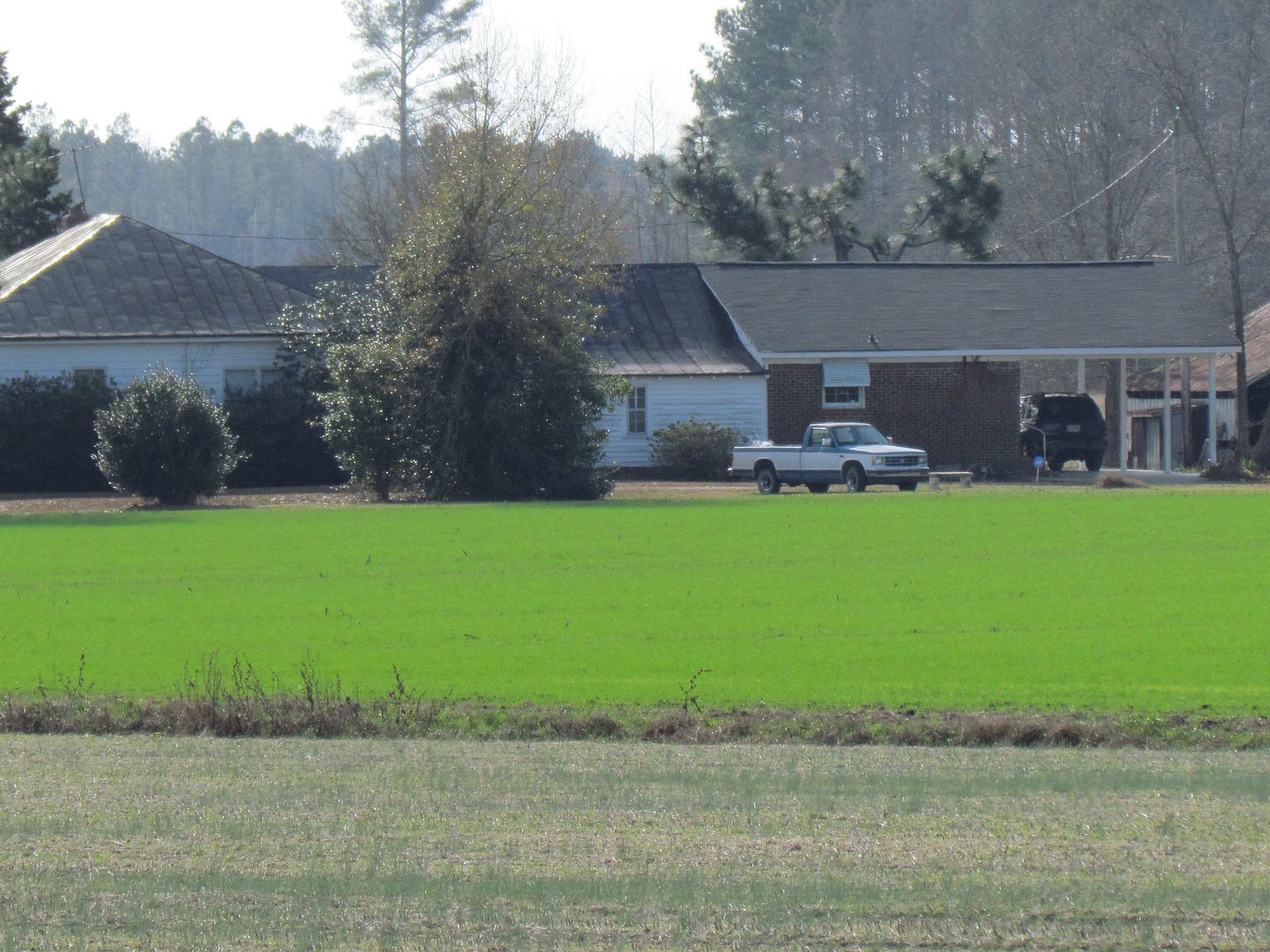 3835 Beargrass Rd, Stokes, NC 27884 Zillow