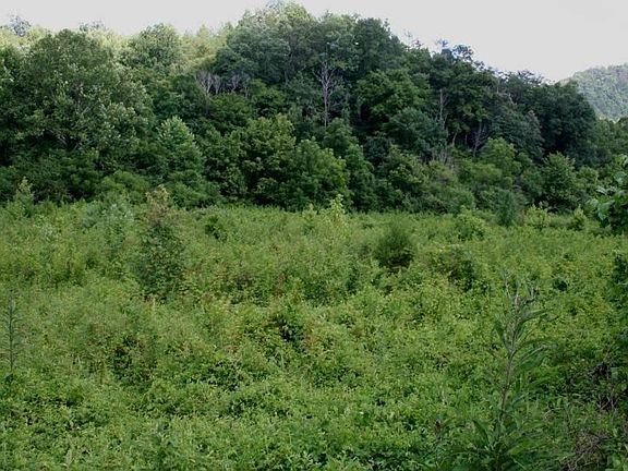 3rd image of 0 Bogard Rd Lot 6